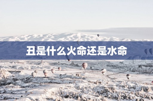 丑是什么火命还是水命