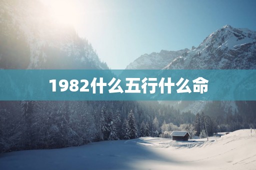 1982什么五行什么命