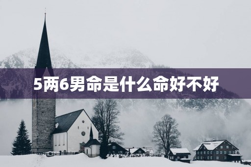 5两6男命是什么命好不好