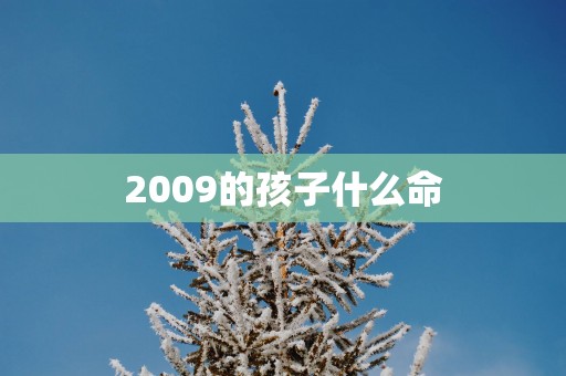 2009的孩子什么命