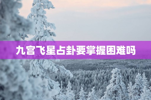 九宫飞星占卦要掌握困难吗