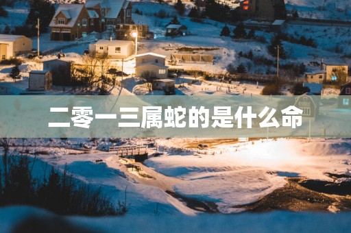 二零一三属蛇的是什么命