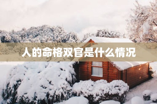 人的命格双官是什么情况