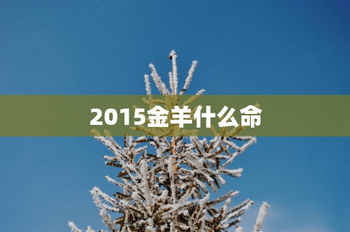 2015金羊什么命