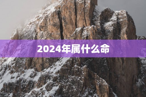 2025年属什么命