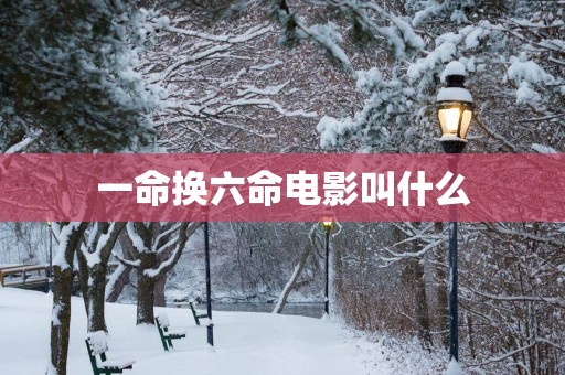 一命换六命电影叫什么