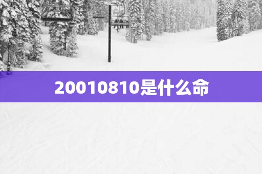 20010810是什么命