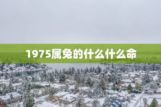 1975属兔的什么什么命