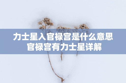 力士星入官禄宫是什么意思 官禄宫有力士星详解