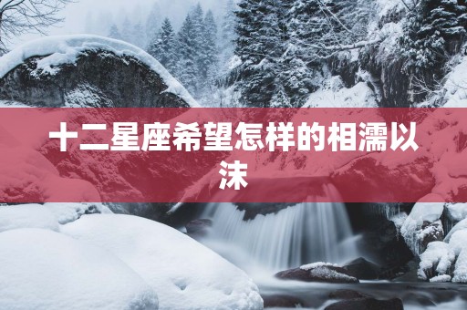 十二星座希望怎样的相濡以沫