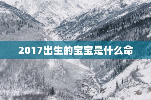 2017出生的宝宝是什么命