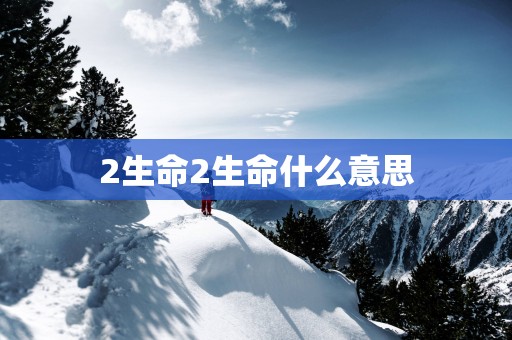 2生命2生命什么意思 2生命2生命什么意思