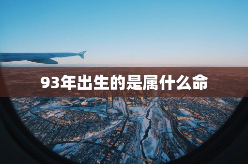 93年出生的是属什么命
