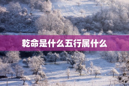 乾命是什么五行属什么