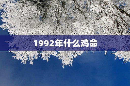 1992年什么鸡命