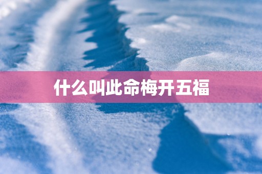 什么叫此命梅开五福