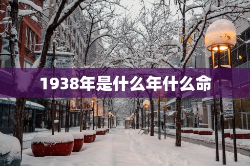 1938年是什么年什么命