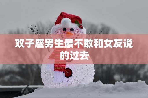 双子座男生最不敢和女友说的过去