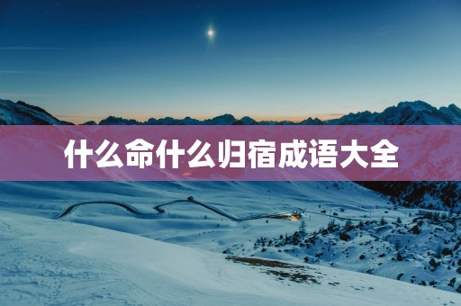 什么命什么归宿成语大全