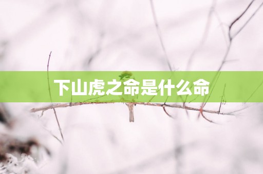 下山虎之命是什么命