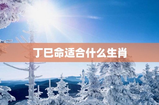 丁巳命适合什么生肖