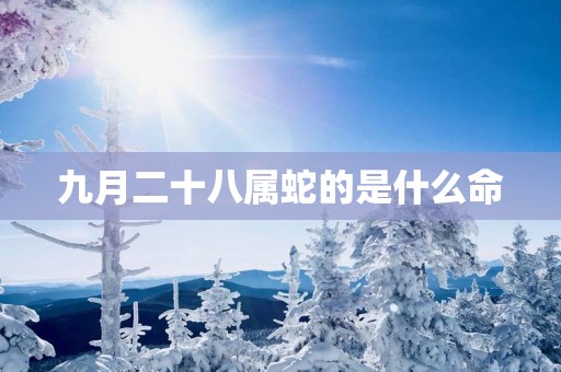 九月二十八属蛇的是什么命