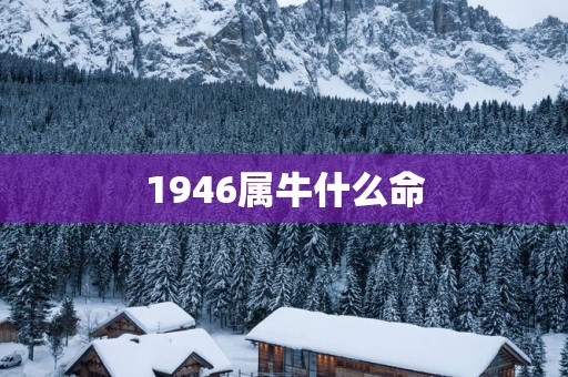 1946属牛什么命
