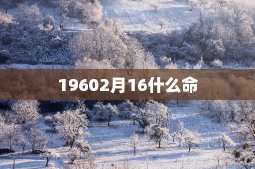 19602月16什么命