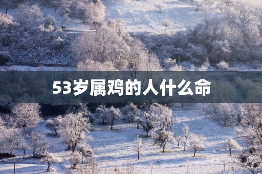 53岁属鸡的人什么命