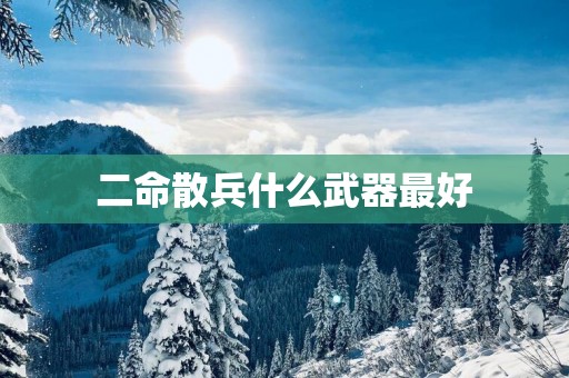 二命散兵什么武器最好