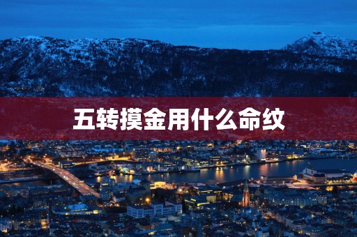 五转摸金用什么命纹