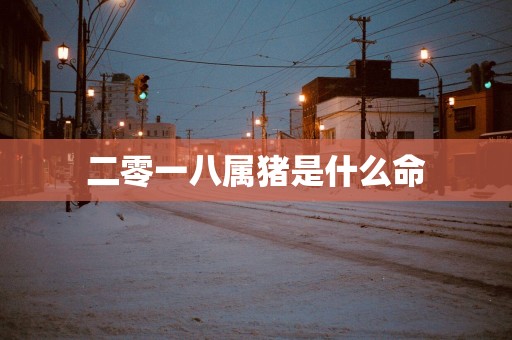 二零一八属猪是什么命