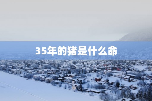 35年的猪是什么命