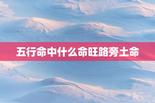 五行命中什么命旺路旁土命