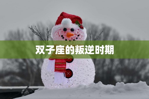 双子座的叛逆时期
