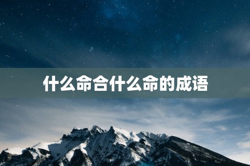 什么命合什么命的成语