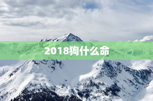 2018狗什么命