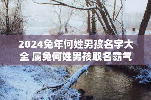 2025蛇年何姓男孩名字大全 属兔何姓男孩取名霸气十足