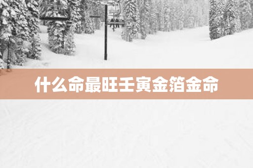 什么命最旺壬寅金箔金命
