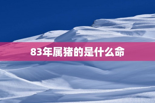 83年属猪的是什么命