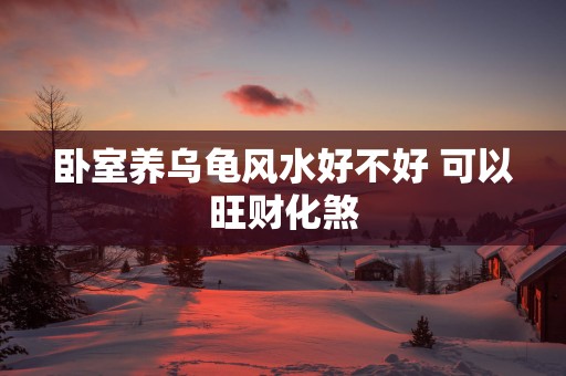 卧室养乌龟风水好不好 可以旺财化煞