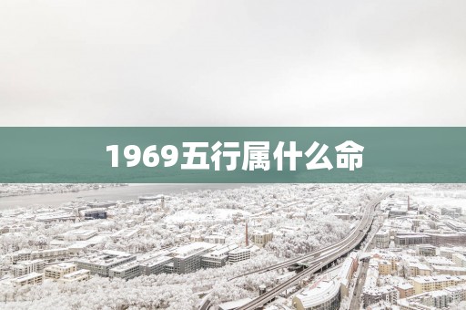 1969五行属什么命