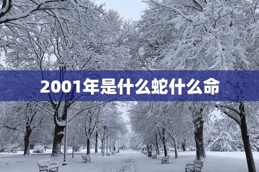 2001年是什么蛇什么命