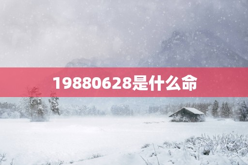 19880628是什么命