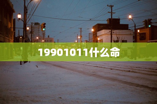 19901011什么命