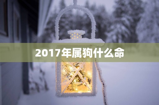 2017年属狗什么命