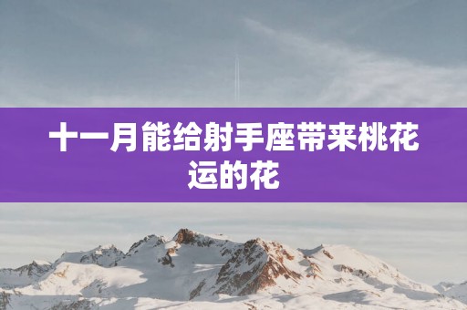 十一月能给射手座带来桃花运的花