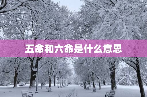 五命和六命是什么意思
