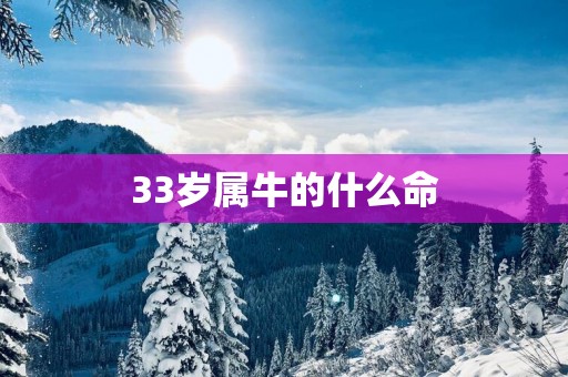 33岁属牛的什么命