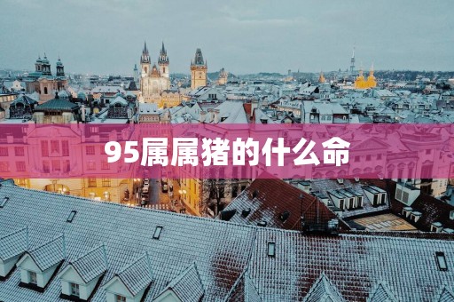 95属属猪的什么命